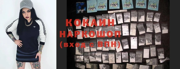 прущий лед Рославль