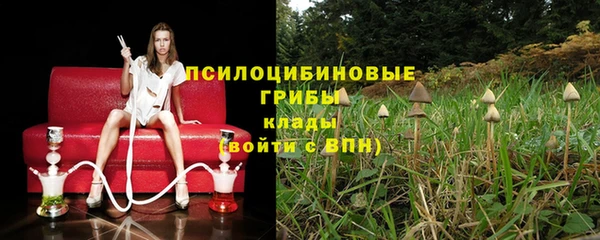 прущий лед Рославль