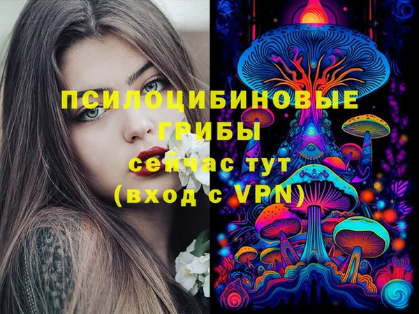 дмт Россошь